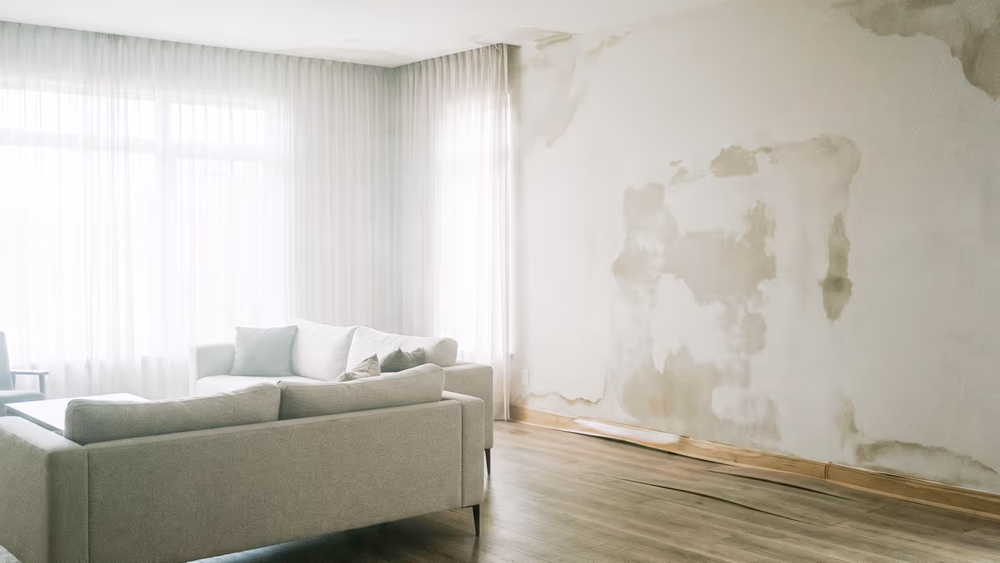 Wohnzimmer mit zwei Sofas und Wand mit großflächigen Feuchtigkeitsschäden und abblätterndem Putz.